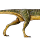 Illustration for article titled They’re Calling This Adorable Creature The ‘Platypus’ Of Dinosaurs
